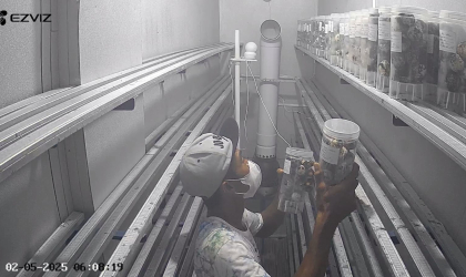 Menemukan Penyu Bertelur di Pantai Sobo