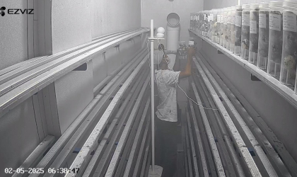 Menemukan Penyu Bertelur di Pantai Pulau Santen