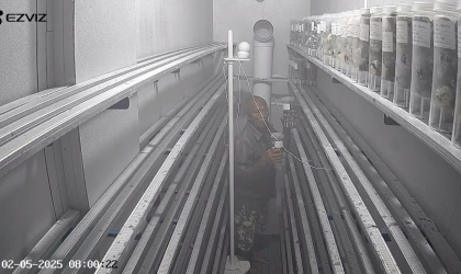 Menemukan Penyu Bertelur di Pantai Boom