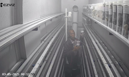 Menemukan Penyu Bertelur di Pantai Boom