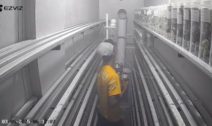 Menemukan Penyu Bertelur di Pantai Pulau Santen