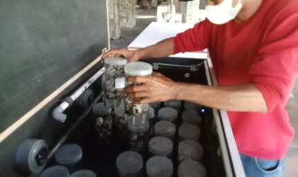 Menemukan Penyu Bertelur di Pantai Sobo