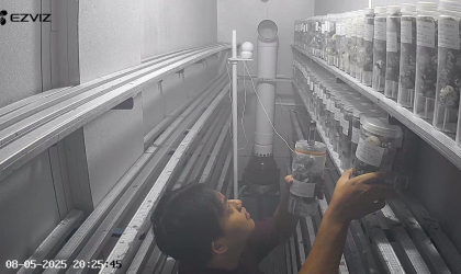 Menemukan Penyu Bertelur di Pantai Pulau Santen