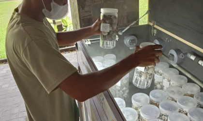 Menemukan Penyu Bertelur di Pantai Pondok Nongko