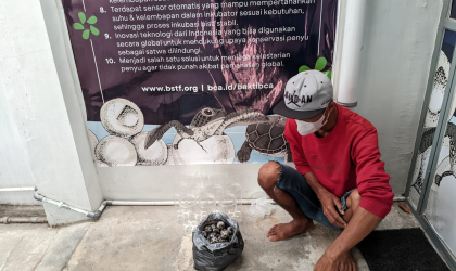 Menemukan Penyu Bertelur di Pantai Pulau Santen