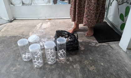 Menemukan Penyu Bertelur di Pantai Sobo