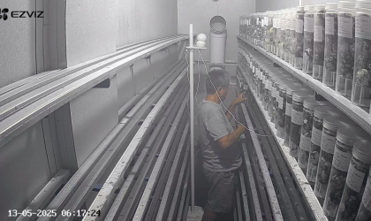 Menemukan Penyu Bertelur di Pantai Sobo