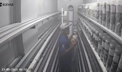 Menemukan Penyu Bertelur di Pantai Pulau Santen