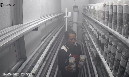 Menemukan Penyu Bertelur di Pantai Boom