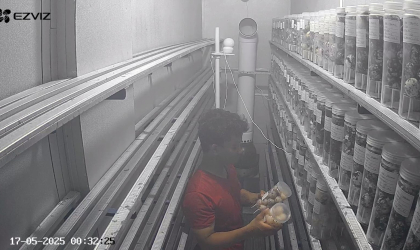 Menemukan Penyu Bertelur di Pantai Boom