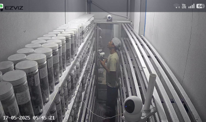 Menemukan Penyu Bertelur di Pantai Pondok Nongko