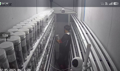 Menemukan Penyu Bertelur di Pantai Boom