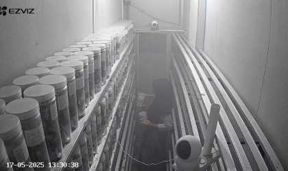 Menemukan Penyu Bertelur di Pantai Pulau Santen