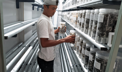 Menemukan Penyu Bertelur di Pantai Pulau Santen