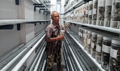 Menemukan Penyu Bertelur di Pantai Boom