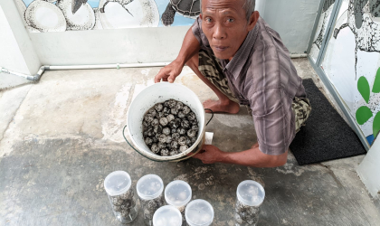 Menemukan Penyu Bertelur di Pantai Boom
