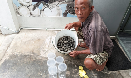 Menemukan Penyu Bertelur di Pantai Boom