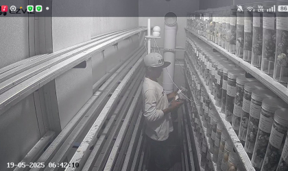 Menemukan Penyu Bertelur di Pantai Pulau Santen