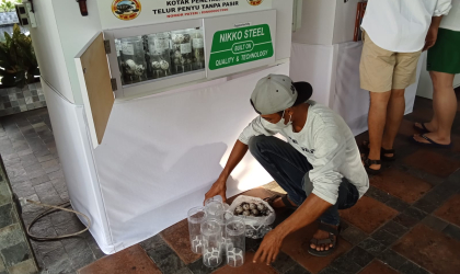 Menemukan Penyu Bertelur di Pantai Pulau Santen