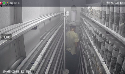 Menemukan Penyu Bertelur di Pantai Pulau Santen