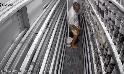 Menemukan Penyu Bertelur di Pantai Kedumen