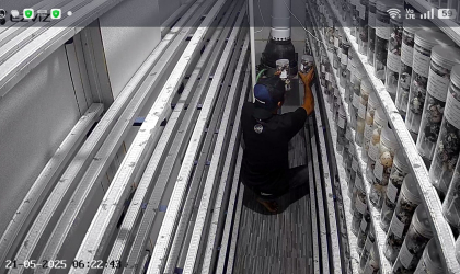 Menemukan Penyu Bertelur di Pantai Gareng