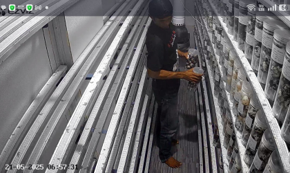 Menemukan Penyu Bertelur di Pantai Pondok Nongko