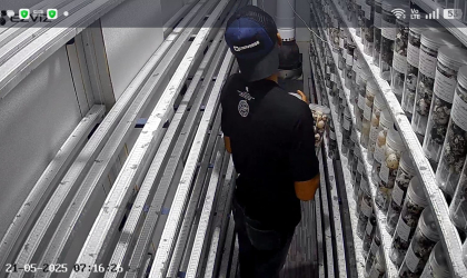 Menemukan Penyu Bertelur di Pantai Pulau Santen