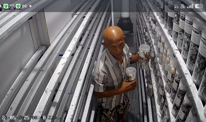 Menemukan Penyu Bertelur di Pantai Mirah