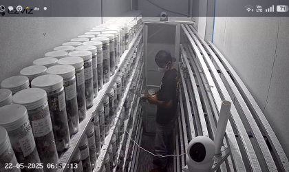 Menemukan Penyu Bertelur di Pantai Pulau Santen