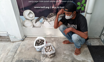 Menemukan Penyu Bertelur di Pantai Pulau Santen