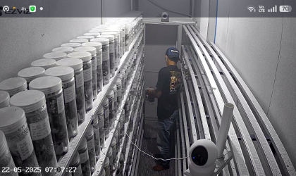 Menemukan Penyu Bertelur di Pantai Pulau Santen