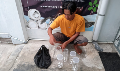 Menemukan Penyu Bertelur di Pantai Pulau Santen