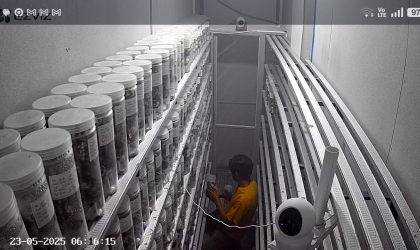 Menemukan Penyu Bertelur di Pantai Pulau Santen