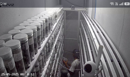 Menemukan Penyu Bertelur di Pantai Sobo