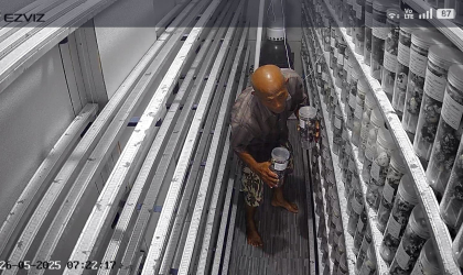 Menemukan Penyu Bertelur di Pantai Mirah