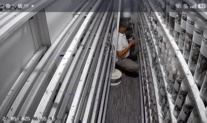 Menemukan Penyu Bertelur di Pantai Gareng