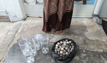 Menemukan Penyu Bertelur di Pantai Gareng