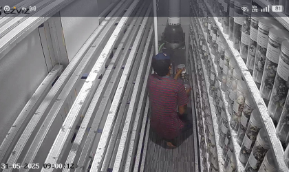 Menemukan Penyu Bertelur di Pantai Pulau Santen