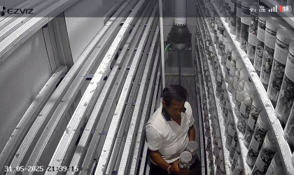 Menemukan Penyu Bertelur di Pantai Boom