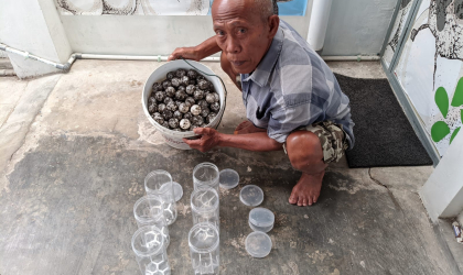 Menemukan Penyu Bertelur di Pantai Boom