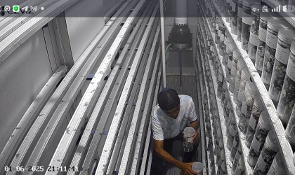 Menemukan Penyu Bertelur di Pantai Pulau Santen