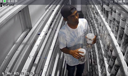 Menemukan Penyu Bertelur di Pantai Sobo