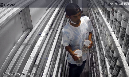 Menemukan Penyu Bertelur di Pantai Sobo