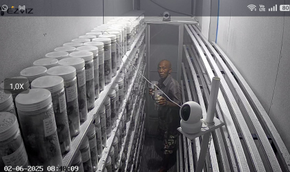 Menemukan Penyu Bertelur di Pantai Boom