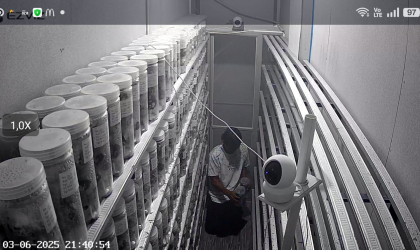 Menemukan Penyu Bertelur di Pantai Pulau Santen