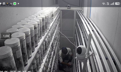 Menemukan Penyu Bertelur di Pantai Pulau Santen