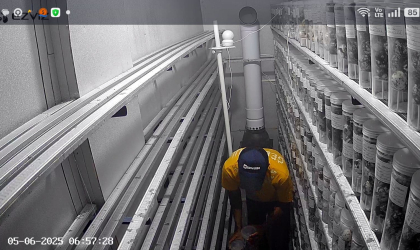 Menemukan Penyu Bertelur di Pantai Sobo