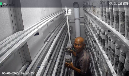 Menemukan Penyu Bertelur di Pantai Boom