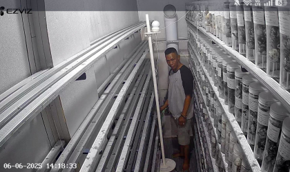 Menemukan Penyu Bertelur di Pantai Mirah